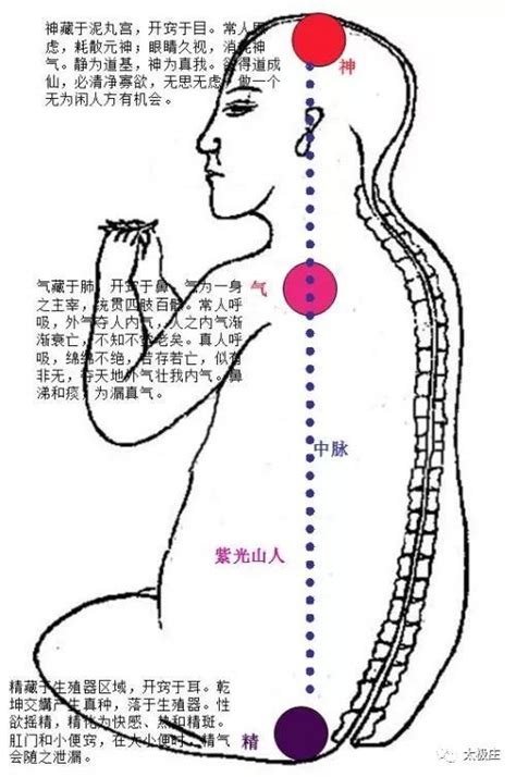 玄关穴|玄关一窍（气功术语）